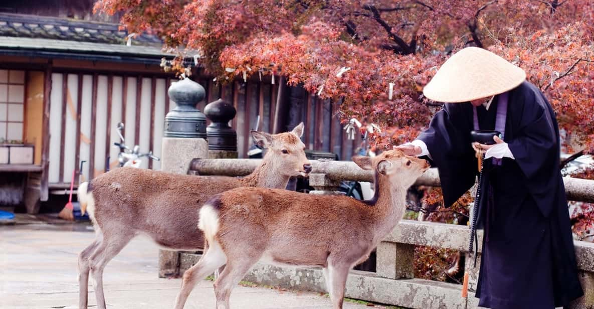 Nara Private Tour With English-Speaking Driver - Tour Experience