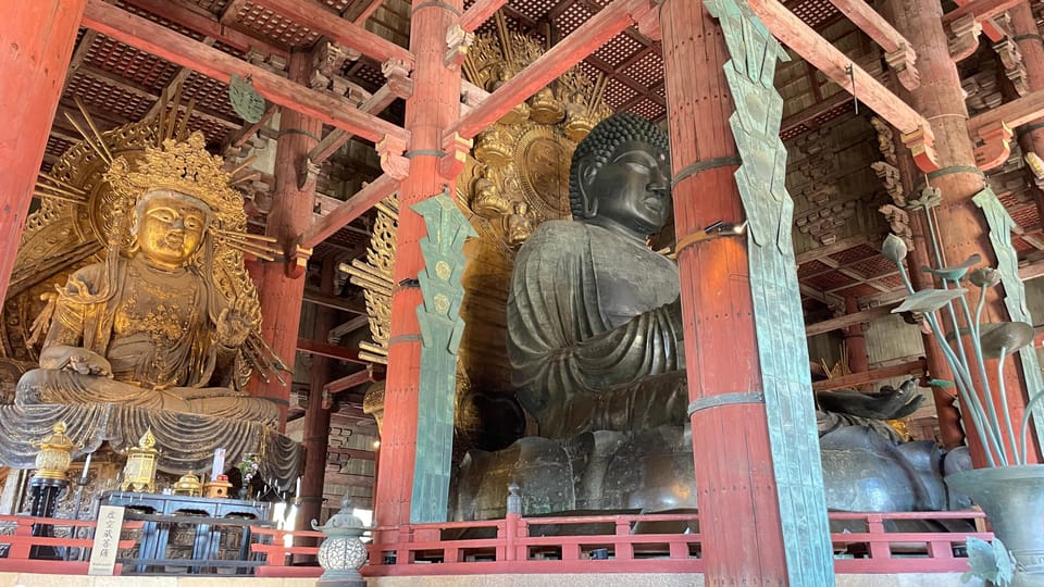 Nara: Todaiji, Kasuga, Nara Park and Hozan-ji Review - Itinerary Highlights