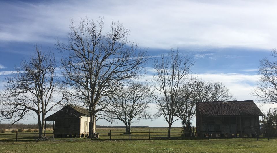 New Orleans: Laura Creole Plantation Guided Tour - Plantation Experience