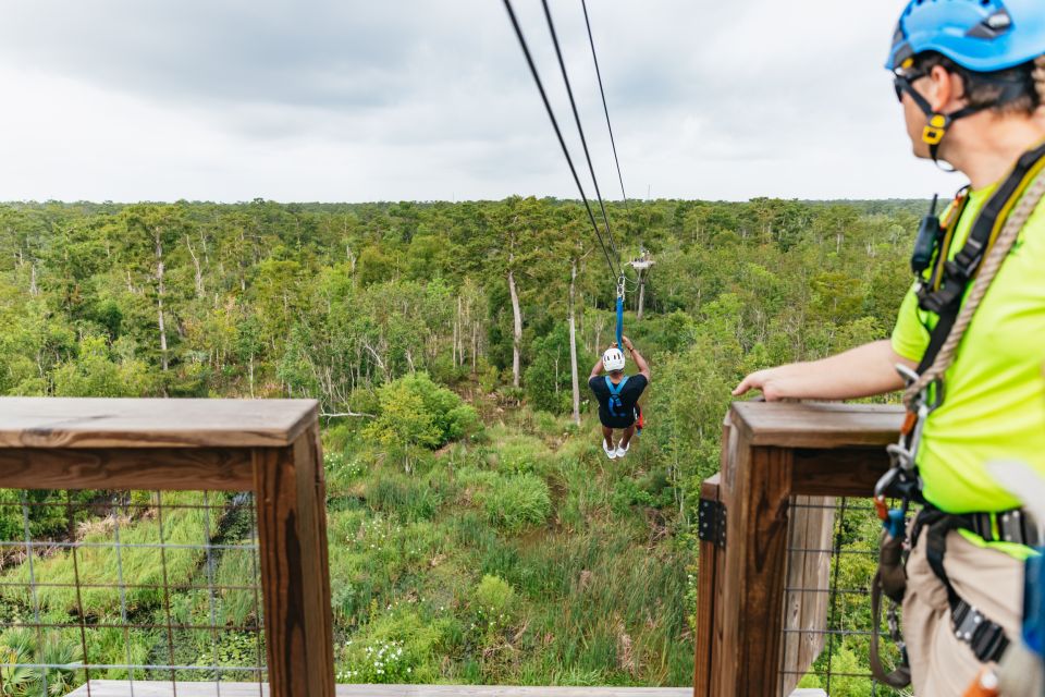 New Orleans: Swamp Zipline Tour - Experience Highlights