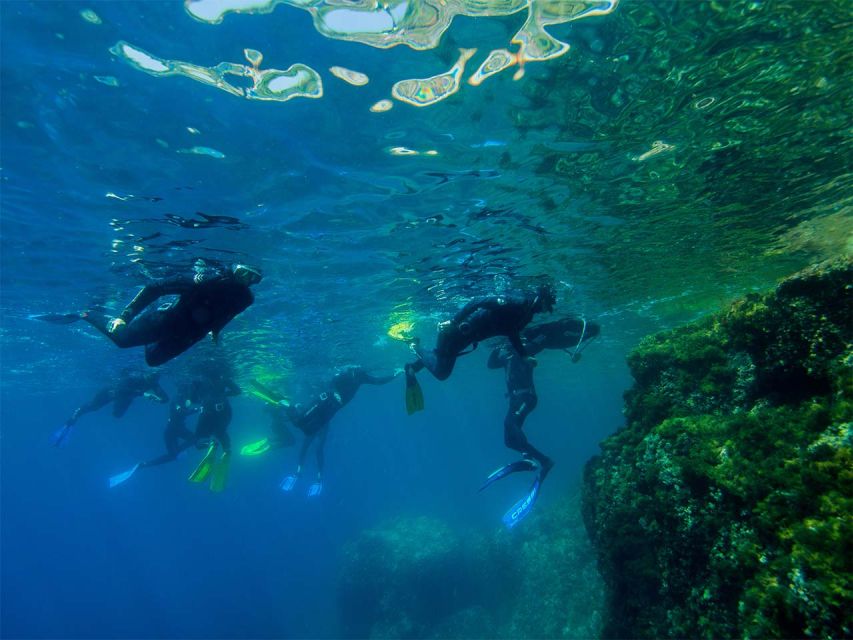 Nice: Speedboat Day Trip With Snorkeling in Villefranche Bay - Exploring Villefranche Bay