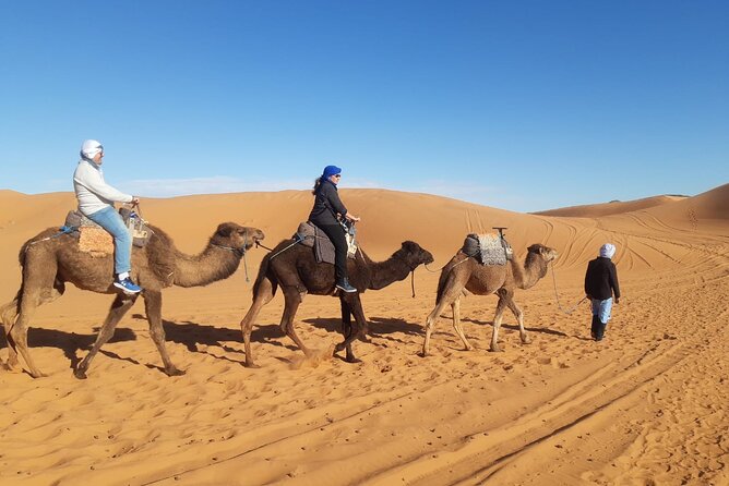 Night in Erg Chebbi Desert, Camel Ride, Departure From Errachidia - Inclusions and Amenities of the Tour