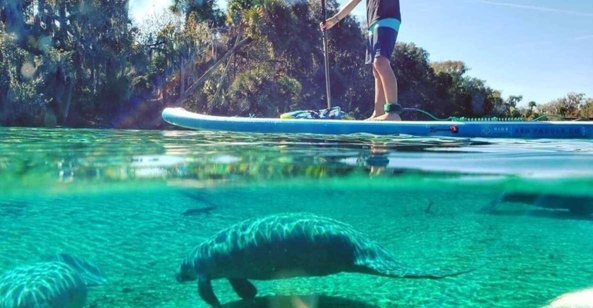 North Miami: Nature & Island Exploration on SUP/Kayak - Experience Highlights