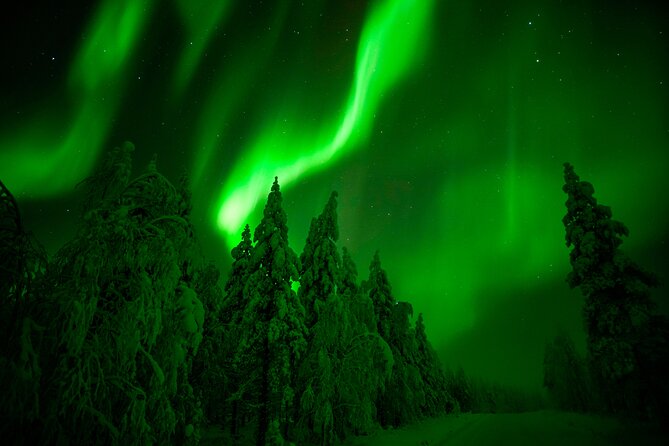 Northern Lights Hunting Adventure in Lapland - Included in the Adventure