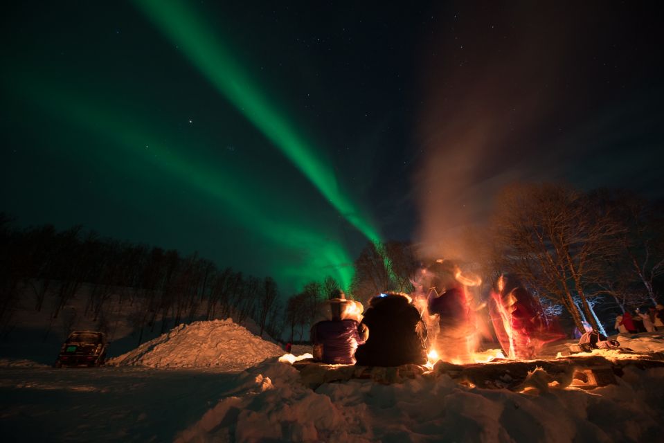 Northern Lights Tromsø - Small Group Tour With Local Guide - Itinerary