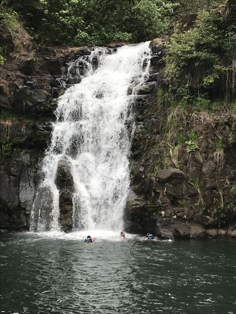 Oahu: Waimea Falls & North Shore Swim With Turtles Beach Day - Pickup and Drop-off Locations