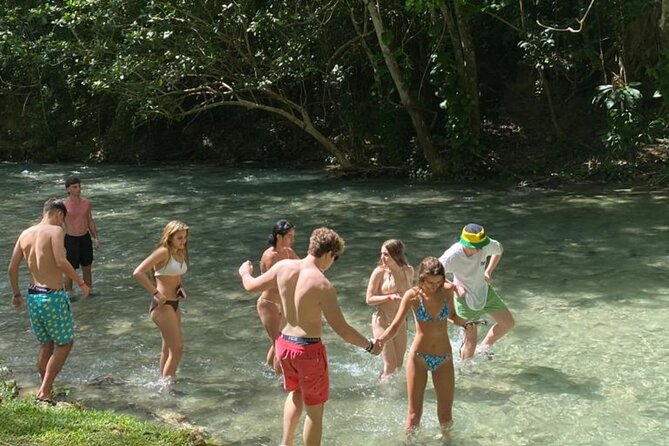 Ocho Rios: Amazing Blue Hole and Chill at Reggae Hill - Group Size and Capacity