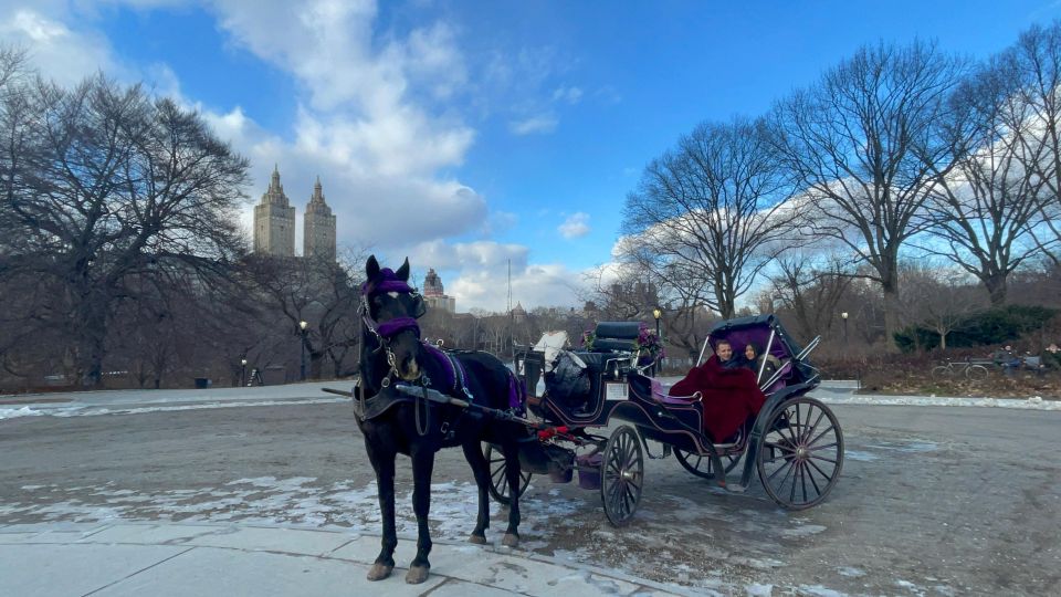 Official VIP Whole Central Park Horse Carriage Tour - Booking and Cancellation