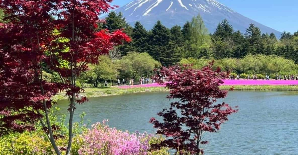 One Day Mount Fuji Private Tour With English Speaking Driver - Itinerary Highlights