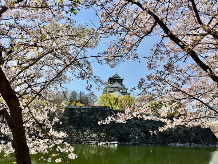 Osaka: Half-Day Private Guided Tour of the Castle - Tour Details