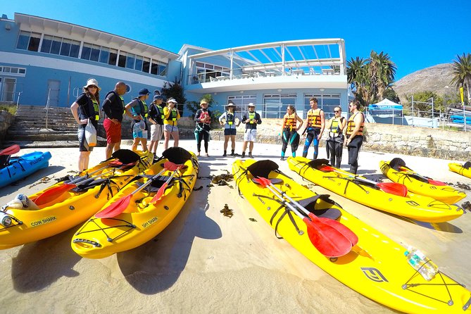 Paddle With the Penguins - Equipment and Safety