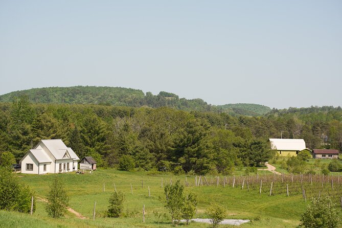 Petite Nation Wine & Cider Tour - Day Trip From Ottawa & Gatineau - Group Size and Accessibility