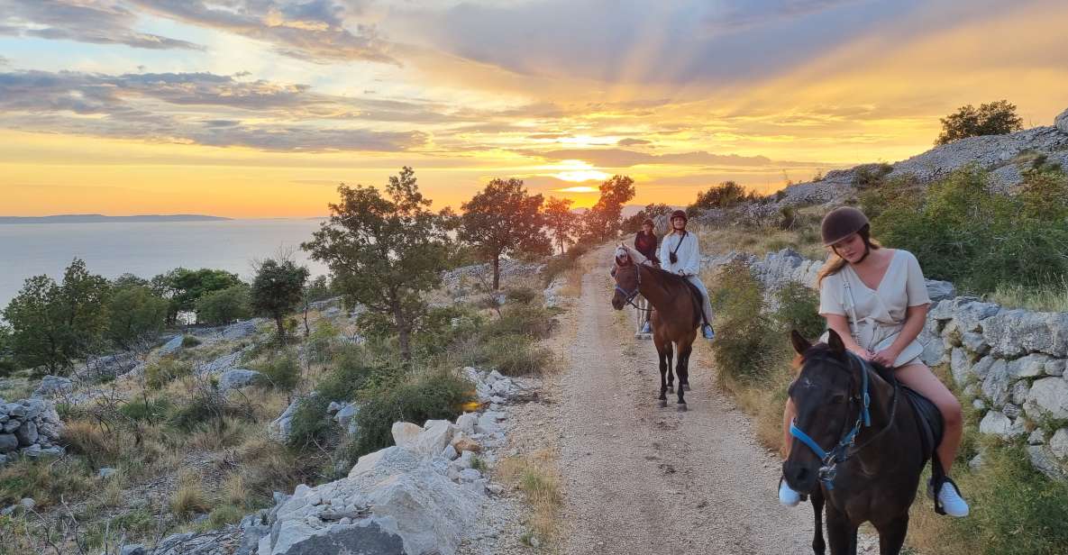 Podstrana: Guided Horseback Riding Experience - Experience Details