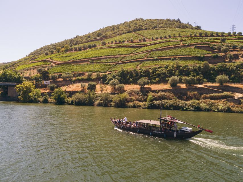 Porto: 2 Douro Valley Wineries Day Trip With River Cruise - Tour Highlights