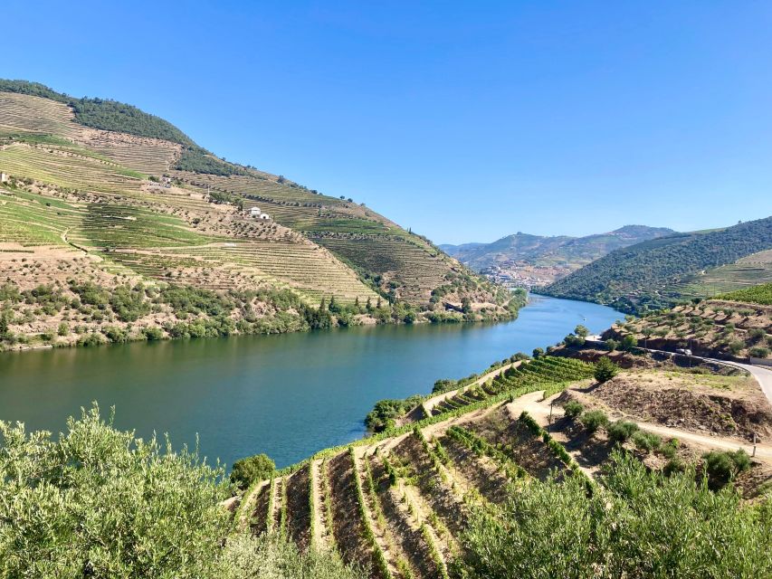 Porto: Douro Valley Wine Tour With Tastings, Boat, and Lunch - Guided Tours and Winery Visits