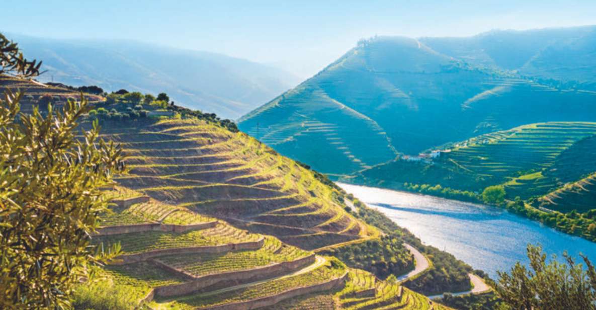 Porto: Private Douro Valley Tour, Yacth, Wine Taste & Lunch - Douro Valley Yacht Cruise