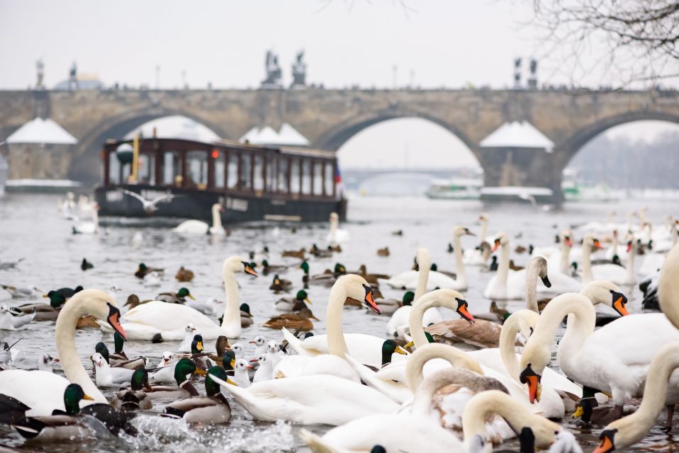 Prague: 1.5-Hour River Boat Cruise and Guided Tour - Itinerary Highlights