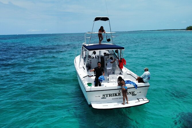 Private 38 Defender Sportfishing/Swim With Pigs in Nassau - Health and Accessibility Information