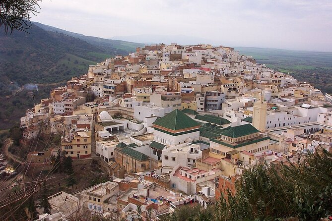 Private Day Trip to Volubilis Meknes and Moulay Driss From Fez - Visiting the Spiritual Site of Moulay Driss