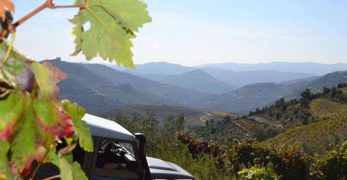 Private Douro Valley 4WD Tour With Wine Tasting and Picnic - Taste the Fortified Port Wines