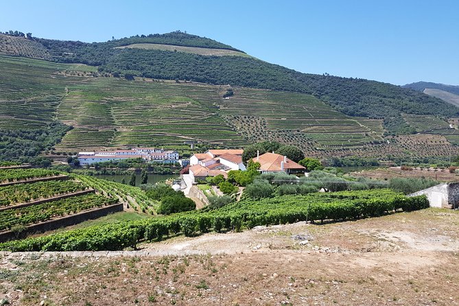 Private Douro Valley Visit to Three Vineyards With Lunch From Porto - Winemaking Process