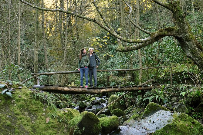 Private Hiking Tour to Mtirala National Park From Batumi - Experience Details