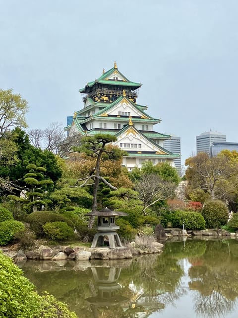 Private Osaka Tour With Hotel Pick up Review - Tour Features and Itinerary