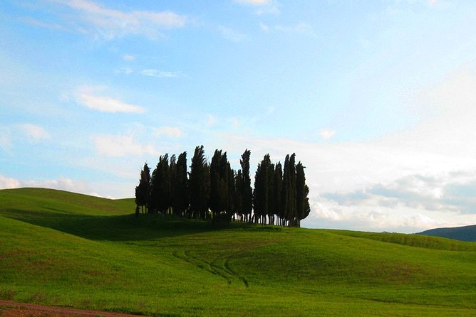 Private Tour: Pienza and Montalcino Organic Cheese and Wine Tour - Included in the Tour