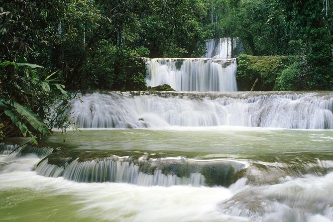 [Private] YS Falls From Negril - Entrance Fees + Lunch Included - YS Falls Experience