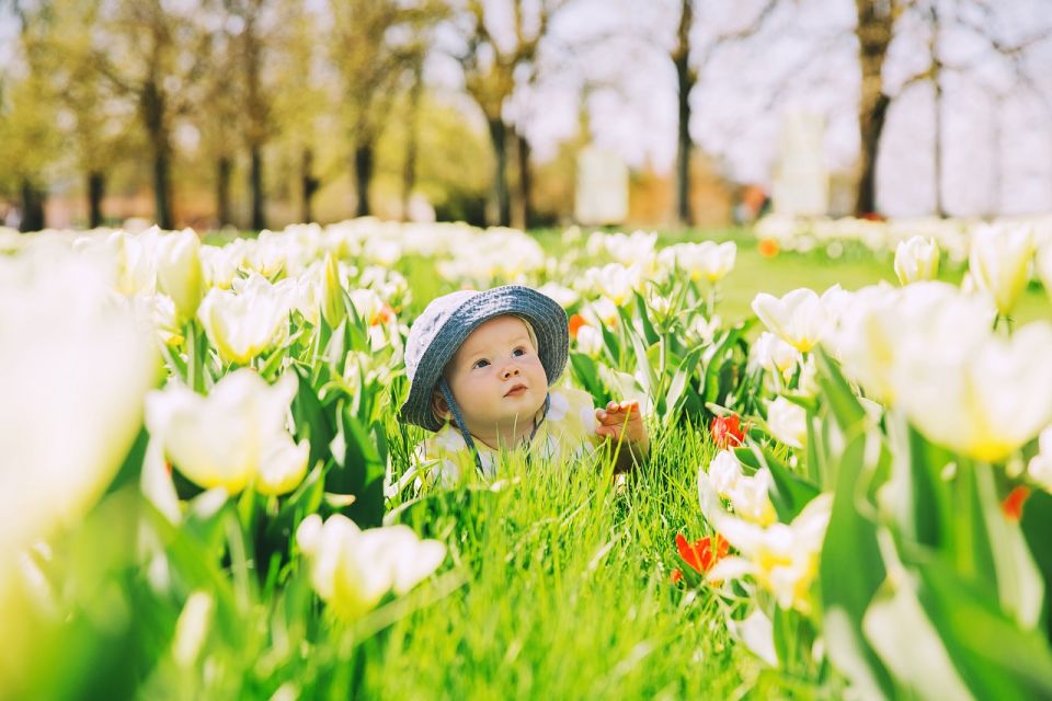 Professional Outdoor Baby Photoshoot in Amsterdam - Experience and Highlights