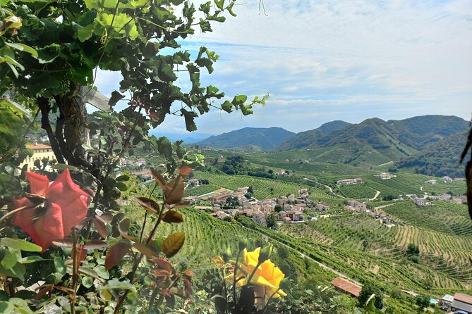 Prosecco Hills Tour With Wine Tasting & Lunch From Venice Treviso - Inclusions and Exclusions