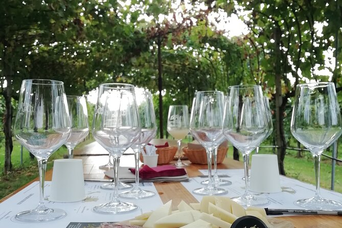 Prosecco - Wine Tour & Tasting - Full Day in the Prosecco Region - Wineries and Tastings