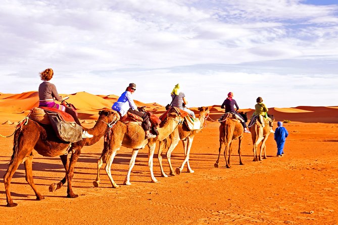 Red Dunes Desert Safari, Sand Board, Camel Ride With BBQ Dinner in Premium Camp - Thrilling Dune Bashing Adventure