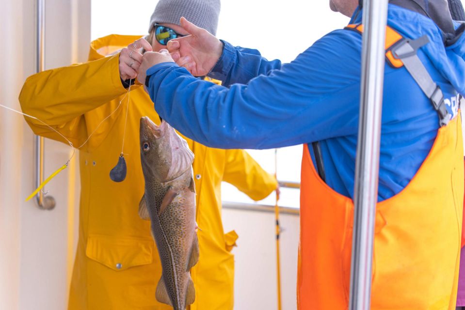 Reykjavik: Sea Fishing Boat Tour & BBQ With the Days Catch - Catch of the Day