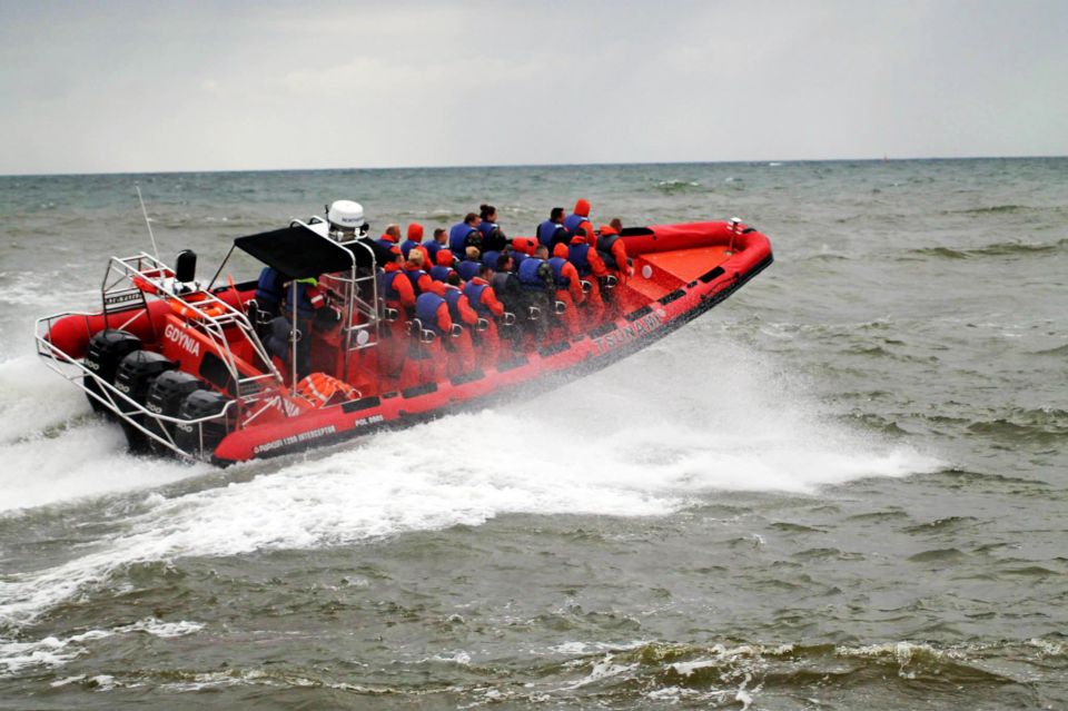 Reykjavik: Whale Watching by RIB Speedboat - Tour Details