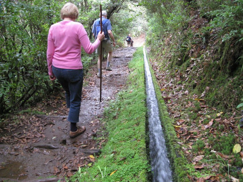 Ribeiro Frio / Portela - Levada Walk - Duration and Languages Offered