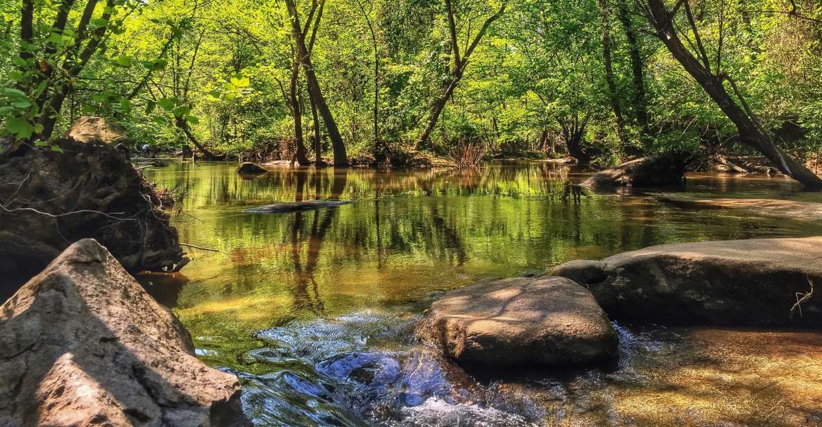 Richmond: Guided Hike in James River Park - Pricing and Booking