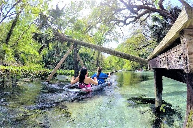 Rock Springs 2-Hour Glass Bottom Guided Kayak Eco Tour - Key Highlights