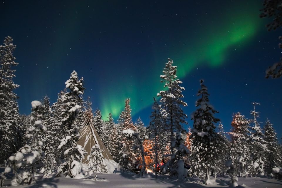 Rovaniemi: Aurora Borealis and Picnic - Highlights of the Tour