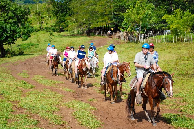 Safari Tour From Punta Cana - Highlights