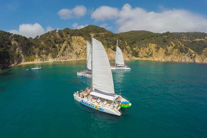 Sailing Along the Costa Brava in a Large Catamaran With a Buffet-Barbecue and Swimming Inlet. Drinks Are Included. - Buffet-Barbecue and Dining Details