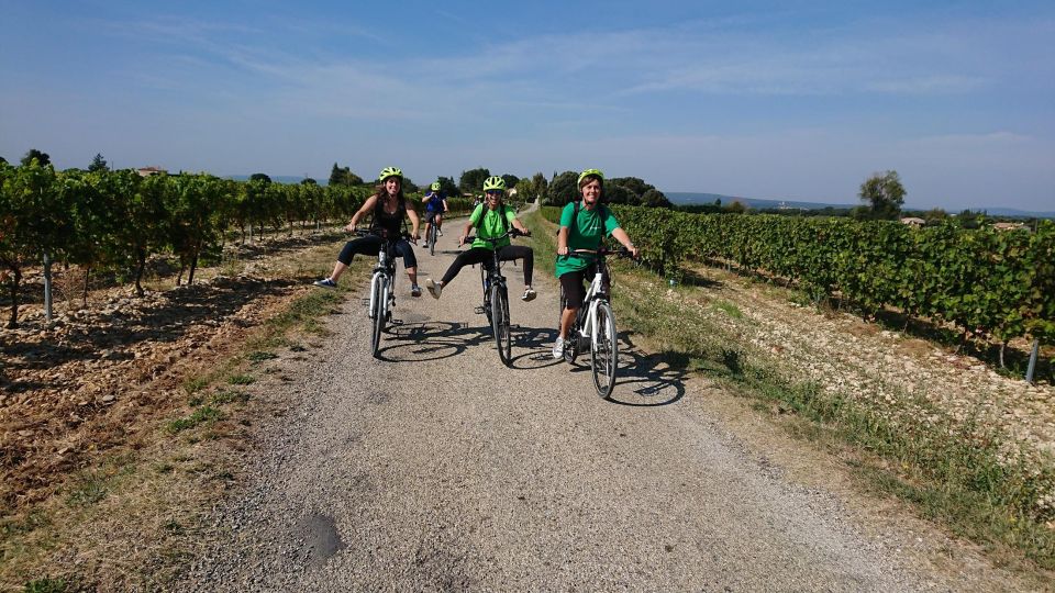 Saint-Martin-d'Ardèche: Electric Bike Wine Tour & Tasting - Highlights of the Tour