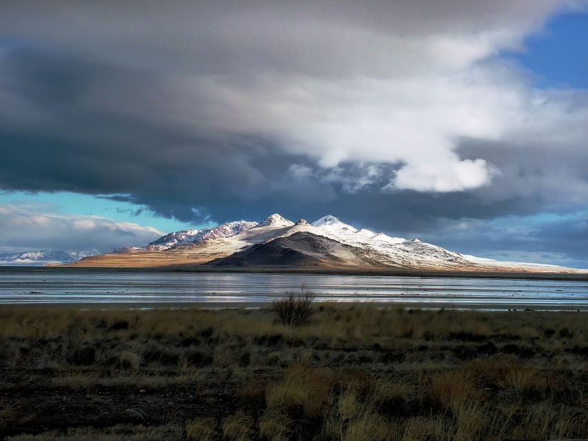 Salt Lake City: Great Salt Lake Antelope Island Guided Tour - Highlights of the Tour