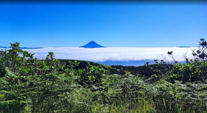 Sao Jorge: Island Round Trip Up to 4 Hours. - Itinerary Highlights