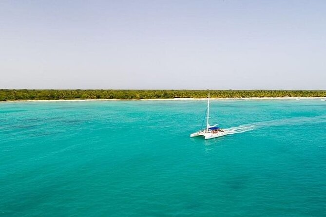 Saona Island Full-Day Tour With Lunch From Punta Cana - Inclusions