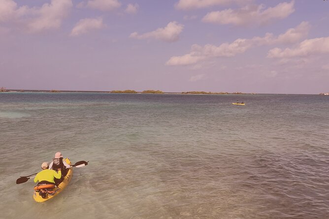 Sea Glass Island Kayak & Sunset Tour - Health and Safety Considerations