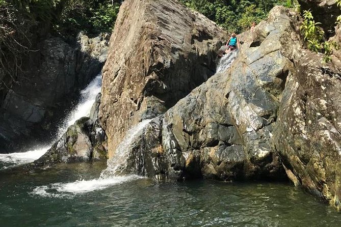 Self-Drive El Yunque Rainforest Guided Tour - Details of the Guided Tour