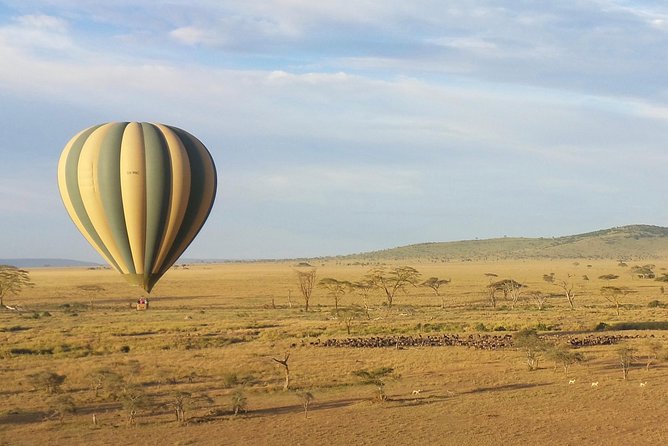 Serengeti Balloon Safari and Authentic Bush Breakfast - Unforgettable Aerial Perspectives