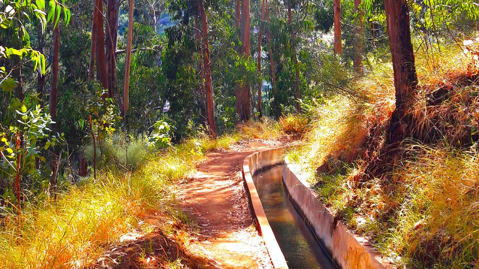 Serra De Água Valley Levada Walk - Highlights