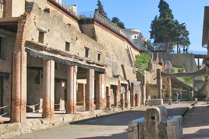 Skip the Line Herculaneum Ruins Ticket - Visiting Herculaneum Ruins